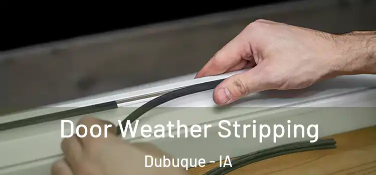 Door Weather Stripping Dubuque - IA